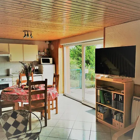 別荘 Maison Independante Avec Jardin, Terrasse Et Cheminee A - Fr-1-589-339