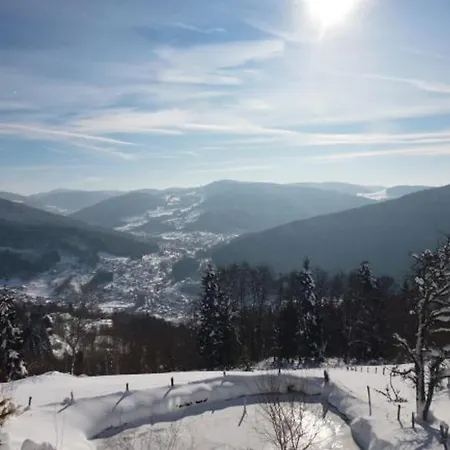 Maison Independante Avec Jardin, Terrasse Et Cheminee A - Fr-1-589-339 別荘 *