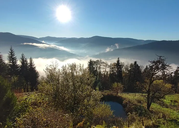 Maison Independante Avec Jardin, Terrasse Et Cheminee A - Fr-1-589-339