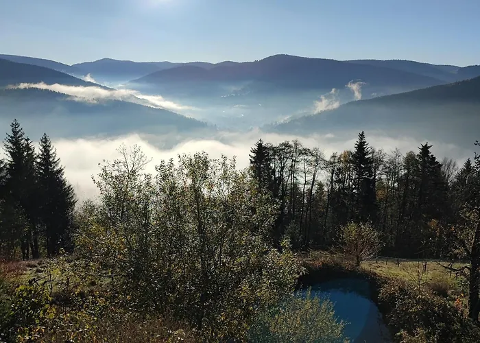 Maison Independante Avec Jardin, Terrasse Et Cheminee A - Fr-1-589-339 * Saulxures-sur-Moselotte