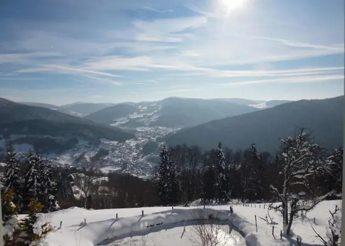 Maison Independante Avec Jardin, Terrasse Et Cheminee A - Fr-1-589-339 Prázdninový dům *